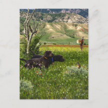 El puntero Pudelpuntero