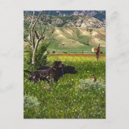 Postal El puntero Pudelpuntero