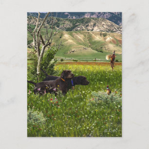 Postal El puntero Pudelpuntero