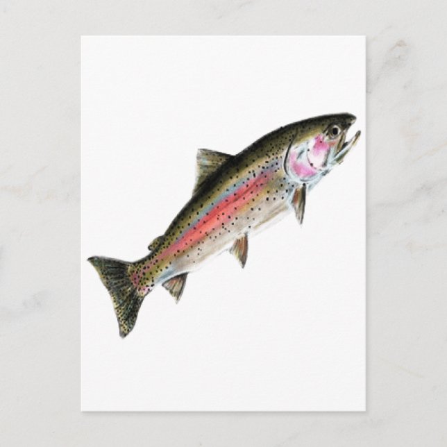 POSTAL EL PURO (Anverso)