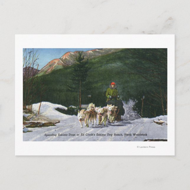 Postal El rancho de perros esquimal de Ed Clark, Dogsledd (Anverso)