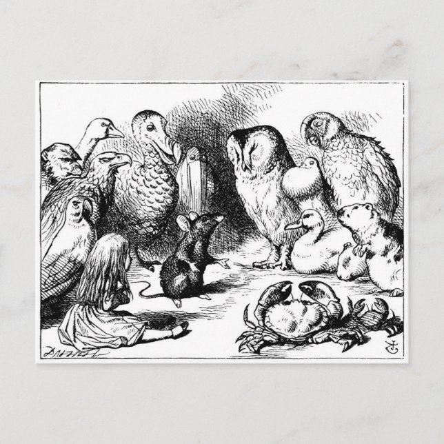 Postal El ratón y la historia seca (Anverso)