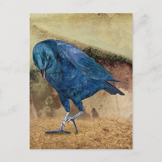 Postal ¡El Raven Me Llama! (Anverso)