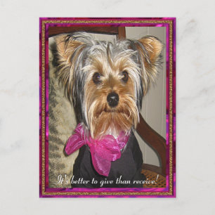 Postal El regalo perfecto