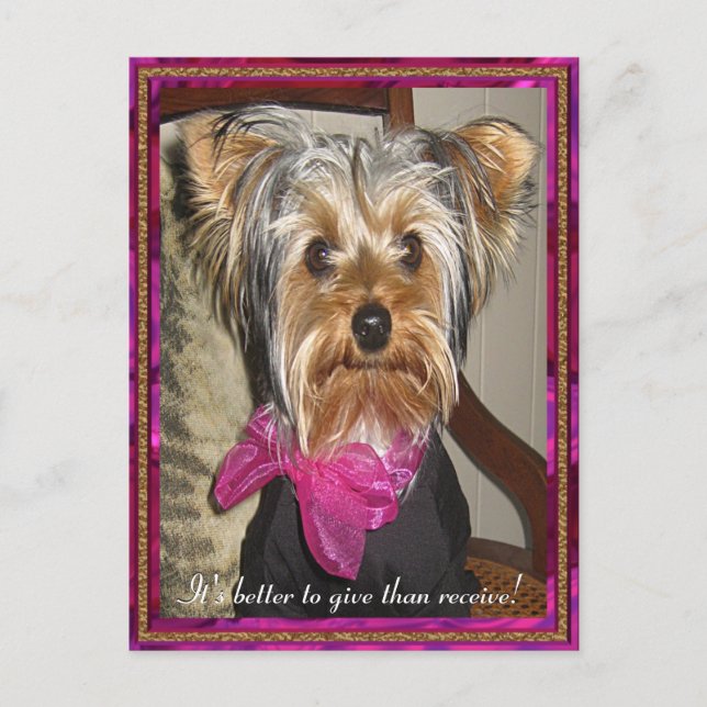 Postal El regalo perfecto (Anverso)