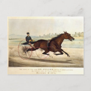 Postal El Rey del Turf, 'St. Julien'