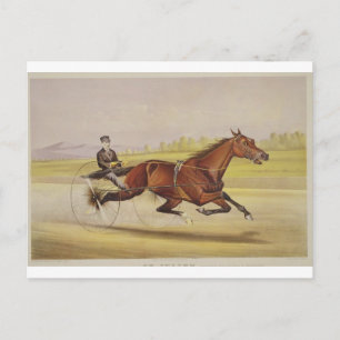 Postal El Rey del Turf, 'St. Julien, conducido por Orri