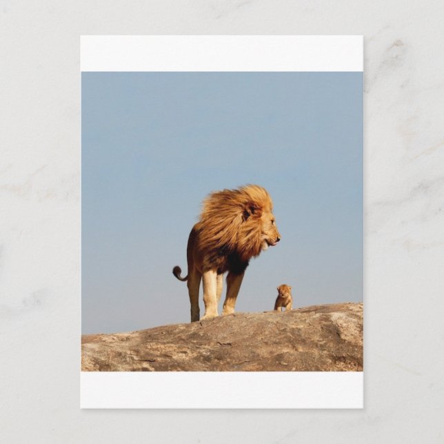 Postal El Rey León (León y Cubo Adultos) (Anverso)