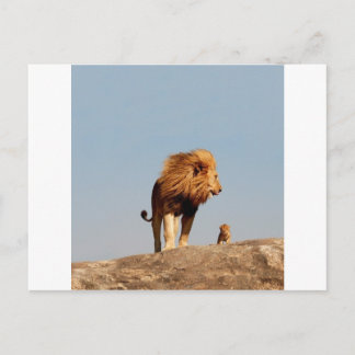 Postal El Rey León (León y Cubo Adultos)