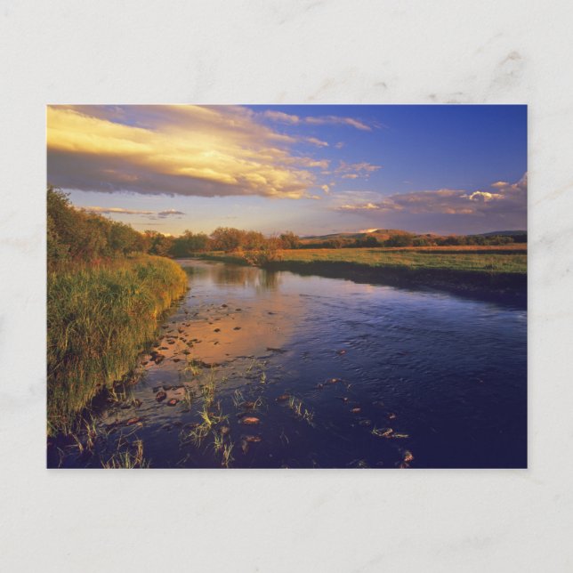 Postal El río Big Hole a la última luz cerca de Jackson (Anverso)