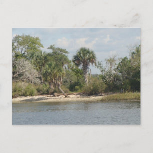 Postal El río Crystal la Florida
