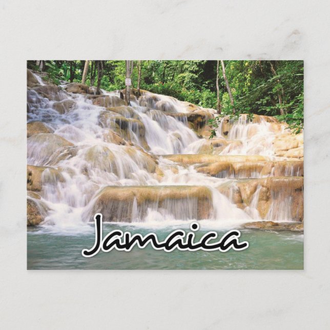 Postal El río Dunn de Jamaica cae cerca (Anverso)