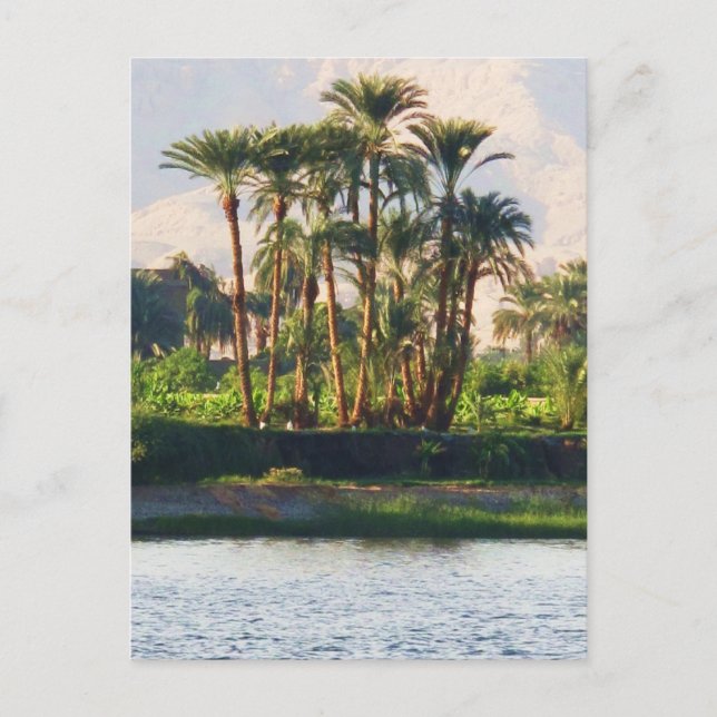 Postal El río Nilo en Egipto, Luxor (Anverso)