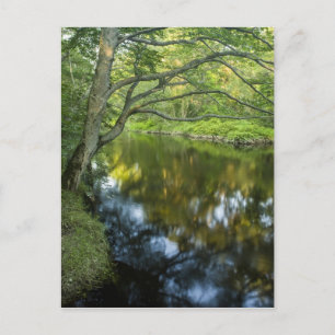 Postal El río Taunton en Bridgewater,