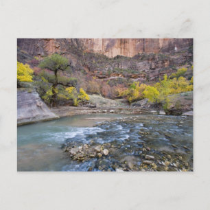 Postal El río Virgin en otoño en el Parque Nacional de Zi