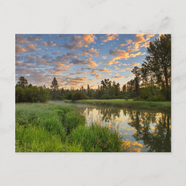 Postal El río Whitefish con hermosas nubes al amanecer (Anverso)