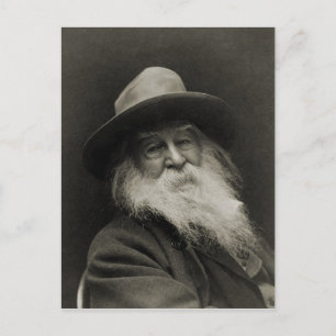 Postal El risible poeta filósofo Walt Whitman