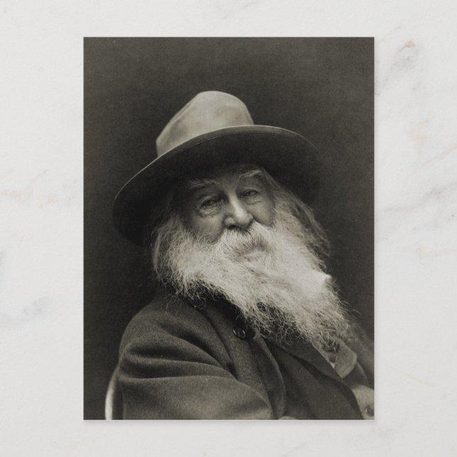 Postal El risible poeta filósofo Walt Whitman (Anverso)