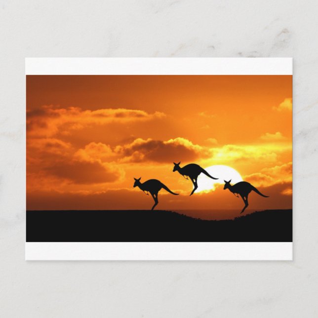 POSTAL EL ROO CORRE. (Anverso)