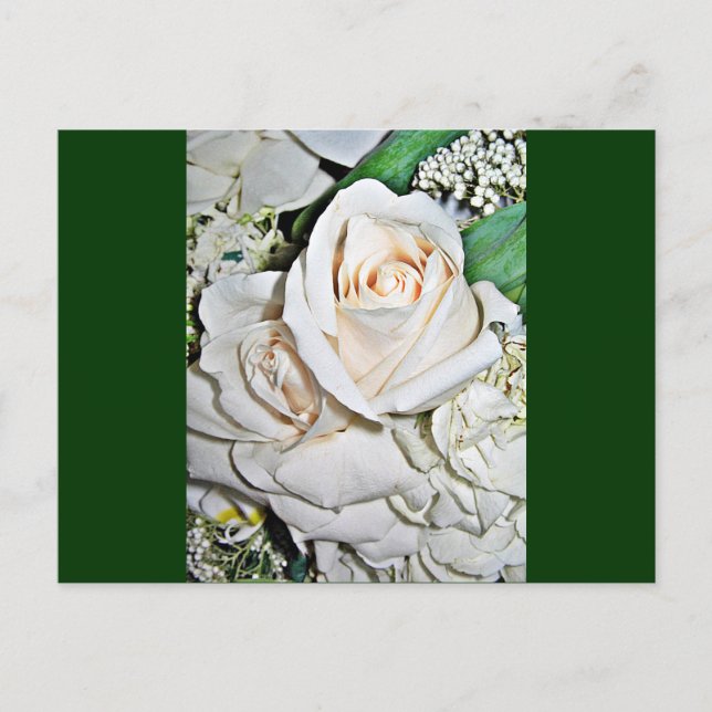Postal El Rosa_ (Anverso)