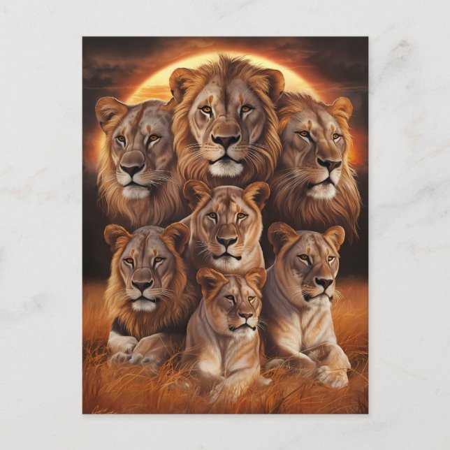Postal El rugido de la noche: Leones a la luz de la luna (Anverso)