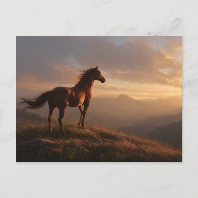 Postal El salvaje Mustang mirando el atardecer (Anverso)