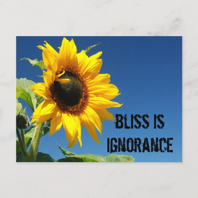 Postal El secreto de la felicidad es la completa ignoranc (Anverso)