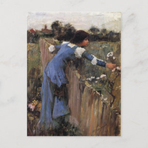Postal El Selector de Flores