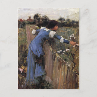 Postal El Selector de Flores