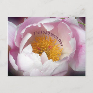 Postal El Señor Bendice a