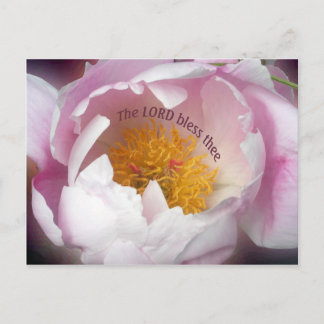Postal El Señor Bendice a