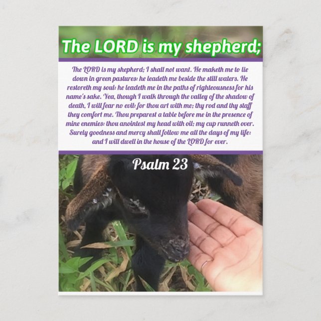 Postal El Señor Es Mi Salmo Pastor 23 Verso Biblia (Anverso)