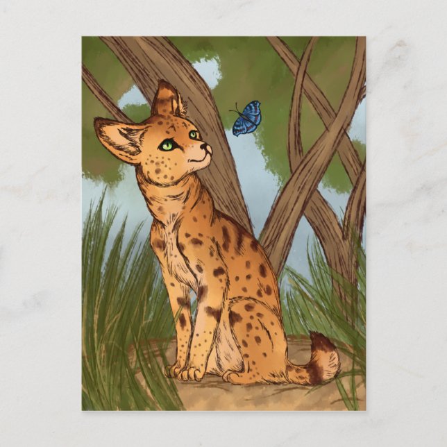 Postal El Serval y la Mariposa (Anverso)