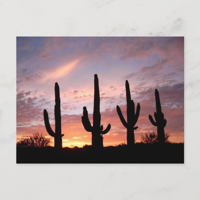 Postal "El show de Arizona" (Anverso)