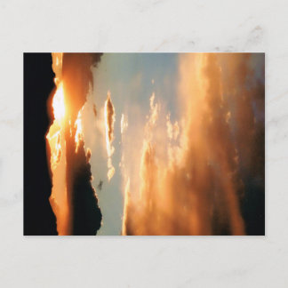 Postal "El show de Arizona"