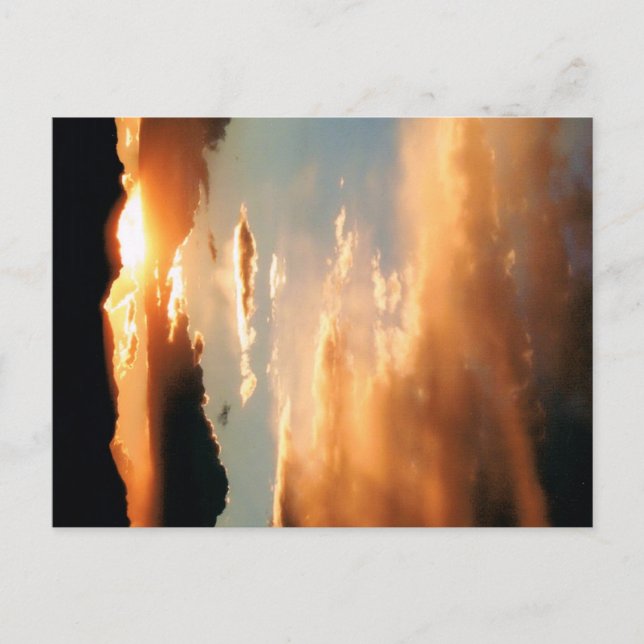 Postal "El show de Arizona" (Anverso)