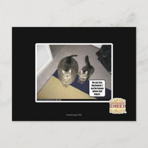 Postal Él siente que está muy loco.
