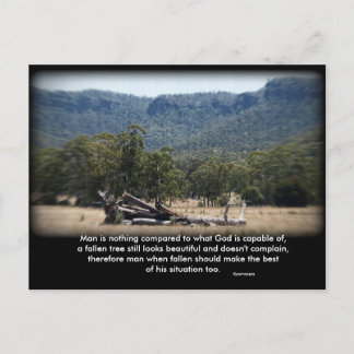 Postal El Sleepy Log, el hombre no es nada comparado con