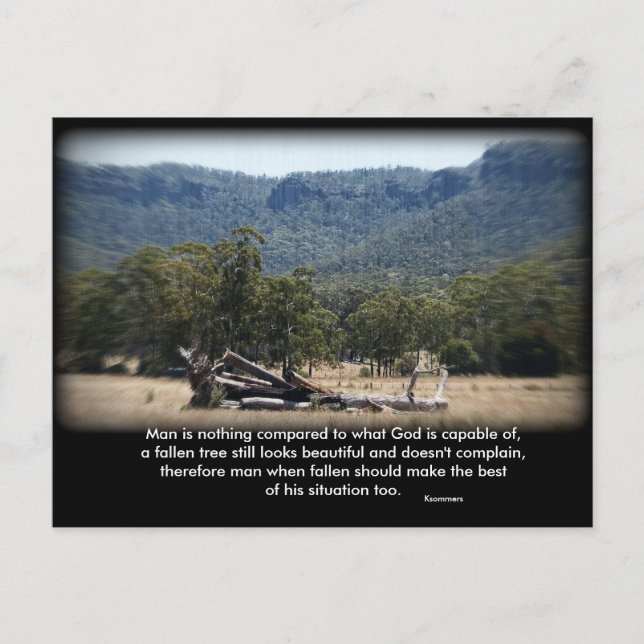 Postal El Sleepy Log, el hombre no es nada comparado con  (Anverso)