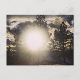 Postal El Sol En La Postcarta De Los Árboles