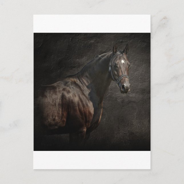 Postal El solitario (Anverso)