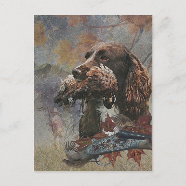 Postal El Spaniel Sprocker, arte de perro de caza (Anverso)