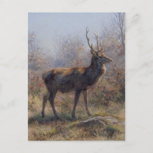 Postal El Stag de Rosa Bonheur