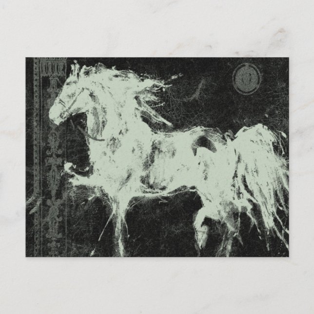 Postal El Stallion negro ~ Postcard (Anverso)