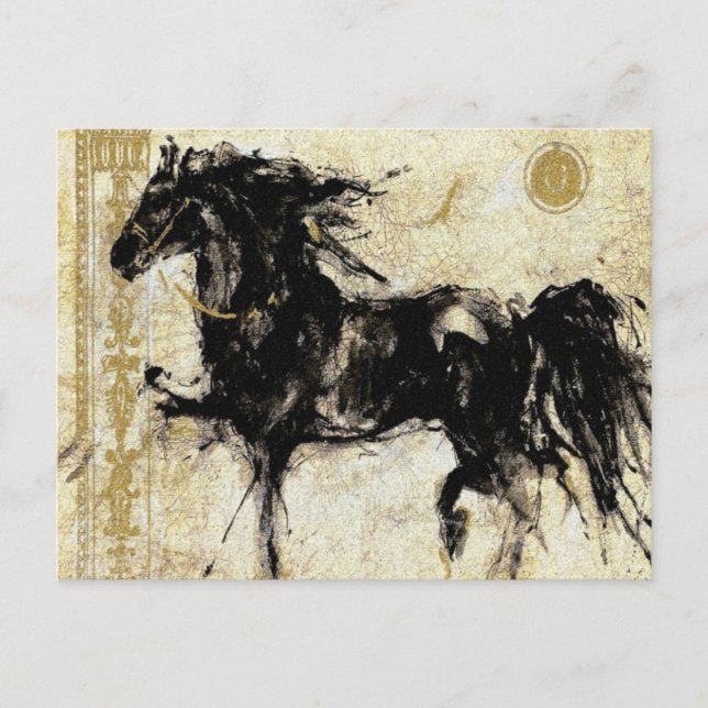 Postal El Stallion negro ~ Postcard (Anverso)