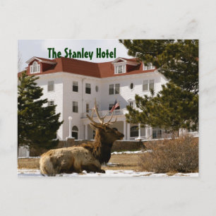 Postal El Stanley Hotel Postcard