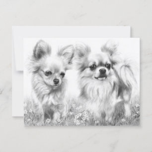 Postal El suave par - mano pintada Chihuahua