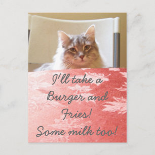 Postal ¡El sueño de un gatito!