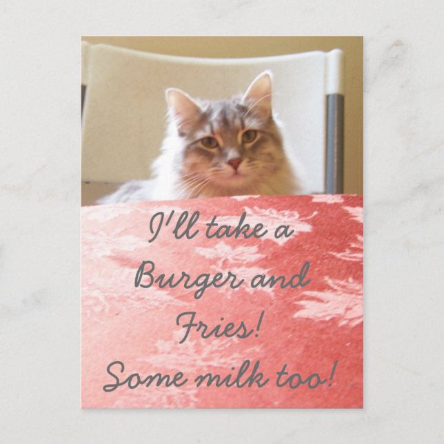 Postal ¡El sueño de un gatito! (Anverso)