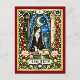Postal El Tarot del Gato Sumo Sacerdotisa - Sabiduría Int